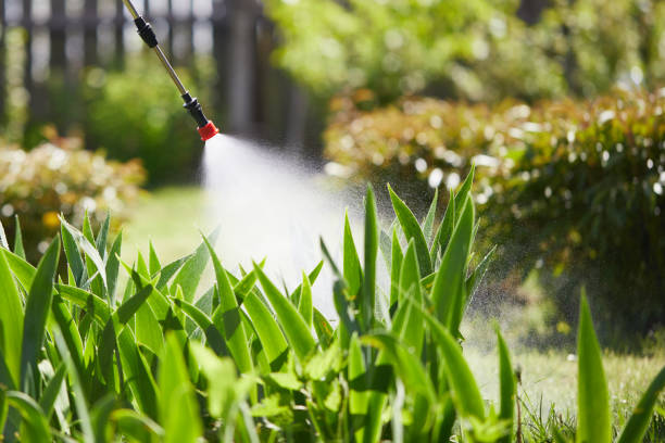 24/7 Emergency Mosquito Control experts in Thorofare, NJ