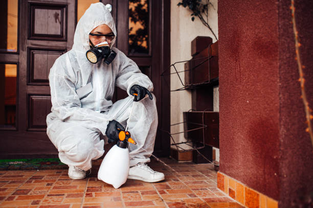 Reliable Mosquito Control contractor in Thorofare, NJ by Show Me Pest Control