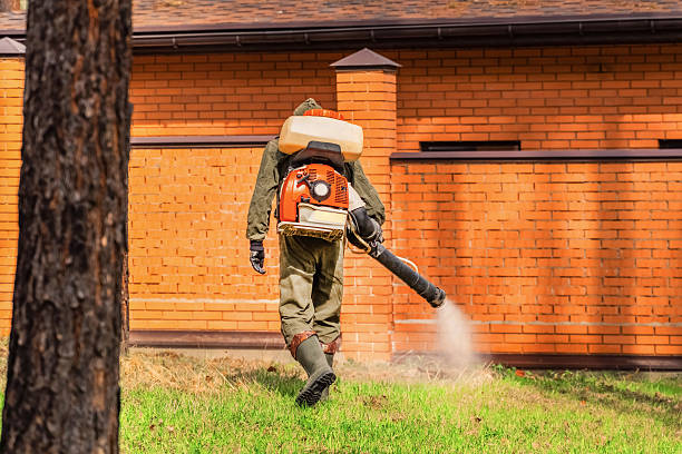 Top rated local Mosquito Control specialists in Thorofare, NJ